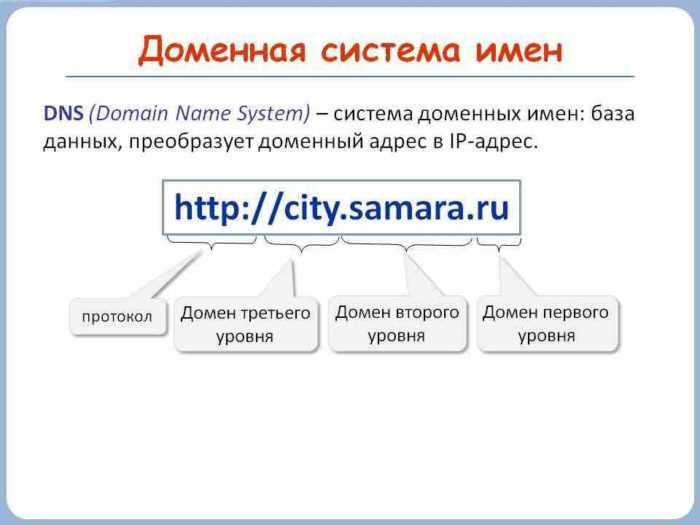 Как выбрать домен .net